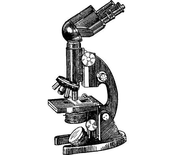 Рис 2а Современный микроскоп Когда об открытии Левенгука узнали ученые они - фото 4