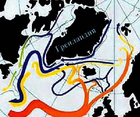 Карта течения Гольфстрим Торможение Гольфстрима вызовет глобальную перемену - фото 27