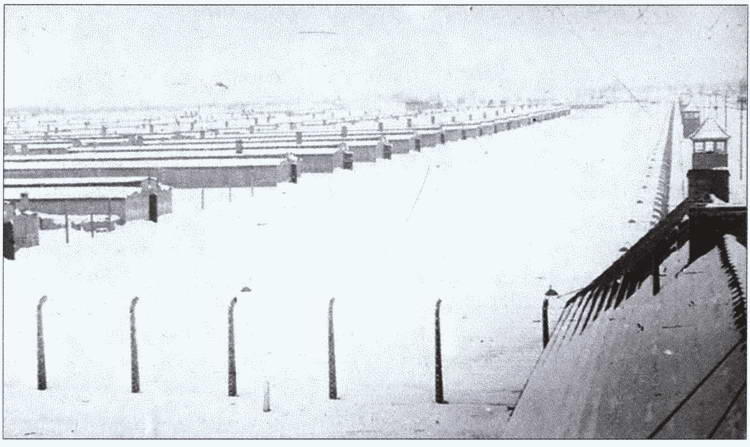 Бараки в Дахау 1945 г - фото 36