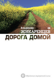 Владимир Жикаренцев - Путь к свободе. Кармические причины возникновения проблем, или Как изменить свою жизнь