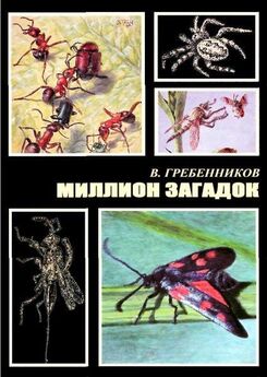 Ольга Кувыкина - Письма насекомых