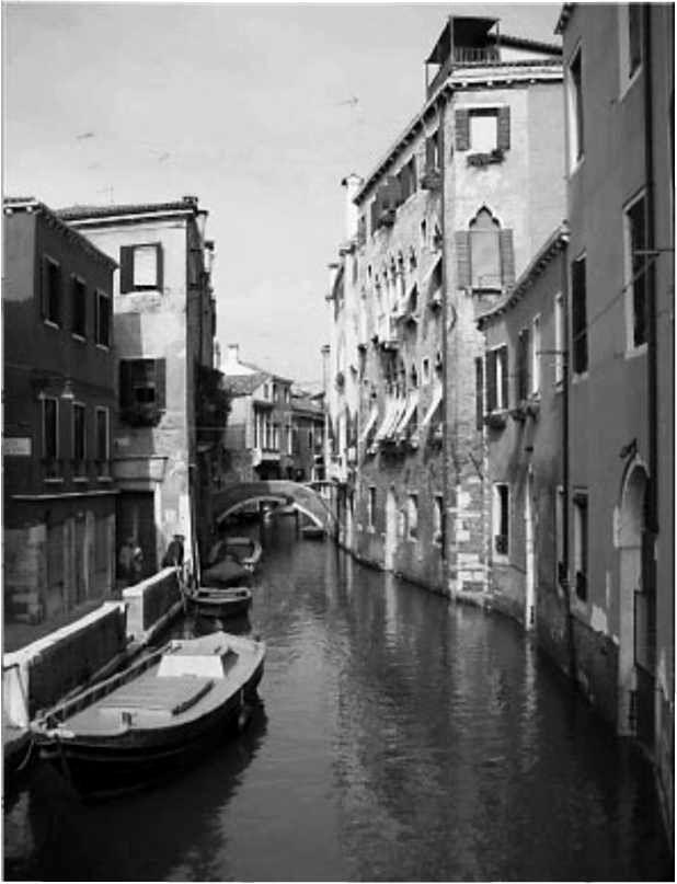 Дворцы соборы дома и мосты Венеции стоят на миллионах дубовых лиственничных - фото 44