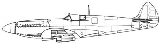 Spitfire F XIV один из прототипов JF318 Spitfire F XIV один из - фото 255