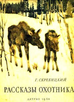 Георгий Скребицкий - Рассказы охотника