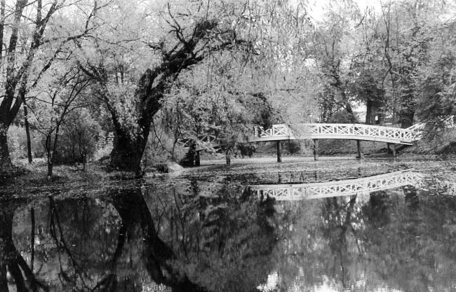 Большое Болдино Вид на горбатый мостик Берново Наше милое Берново - фото 17