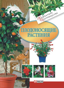 Татьяна Дорошенко - Декоративноцветущие растения