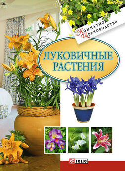 Татьяна Дорошенко - Декоративноцветущие растения