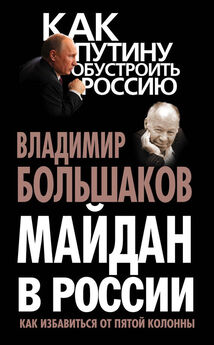 Владимир Большаков - Майдан в России. Как избавиться от пятой колонны