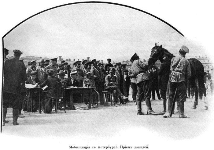 Мобилизация в Петербурге Прием лошадей 5 Планы войныИнициатива находилась в - фото 5