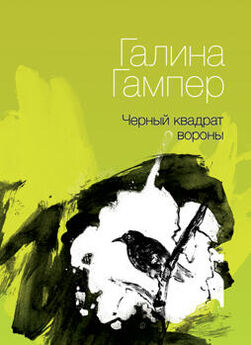 Зинаида Миркина - Чистая страница: Избранные стихи (конец 2009 — первая половина 2011)