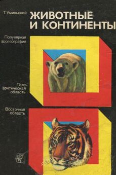 Савва Успенский - Белый медведь