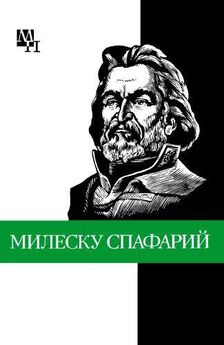 Николай Стеллецкий - Странствующий украинский философ Г. С. Сковорода
