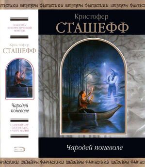 Кристофер Сташефф - Вечная жизнь святого Видикона Катодного