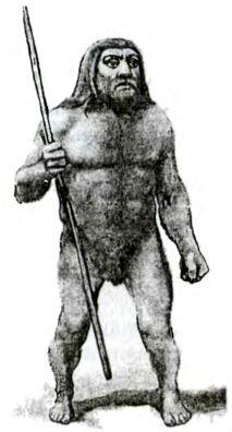 Неандерталец древнейший житель Европы Рост неандертальца 160163 см Объем - фото 2