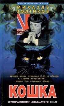 Михаэль Золтиков - Кошка