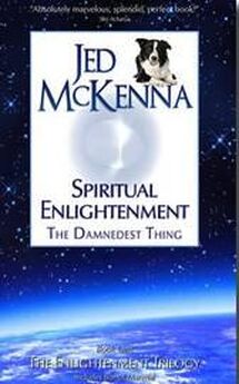 Джед Маккена - Духовное просветление: прескверная штука