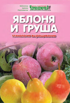 Д. Колесова - Защита плодовых и ягодных культур от болезней и вредителей