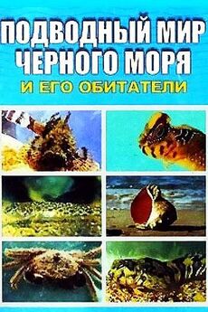 Евгения Искив - Подводный мир Черного моря