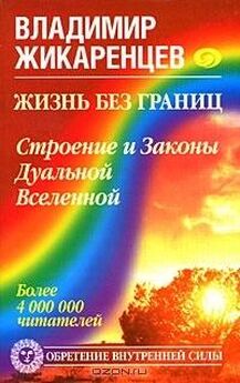 Владимир Жикаренцев - Жизнь без границ. Нравственный Закон