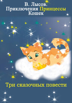 Валентин Лысов - Приключения Принцессы кошек