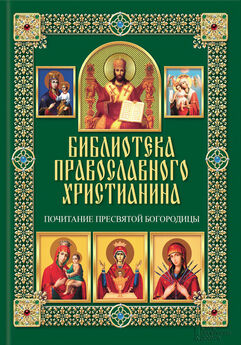 Павел Михалицын - Почитание святых