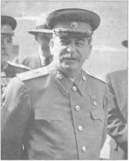 Товарищ Сталин Боролся с золотопогонниками А потом стал одним из них - фото 6
