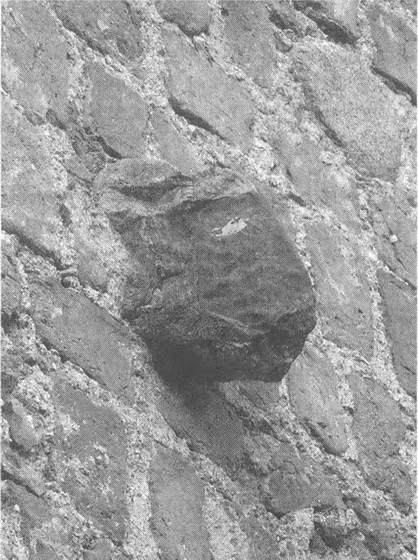 Один из каменных выступов Мирского замка действительно напоминает баранью - фото 3