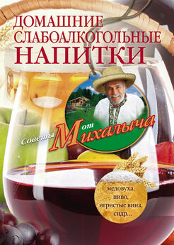 Николай Звонарев - Домашние слабоалкогольные напитки. Медовуха, пиво, игристые вина, сидр…