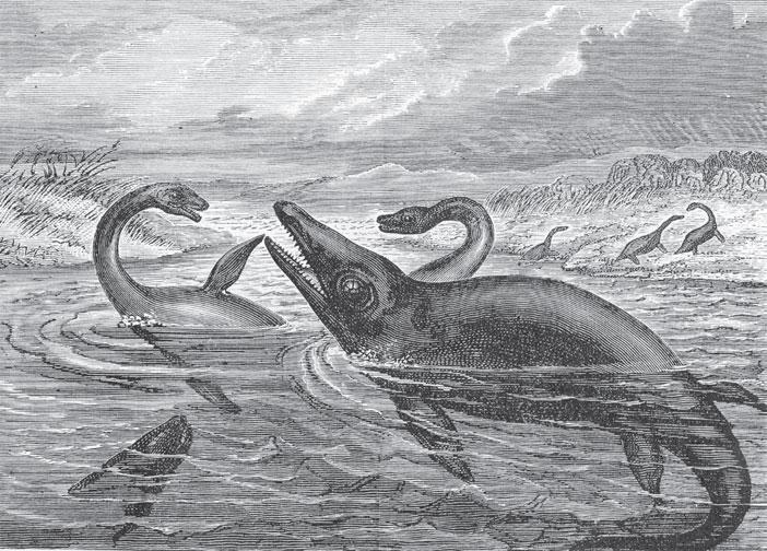 Большинство ученых придерживается мнения что первые животные обитали в океане - фото 1