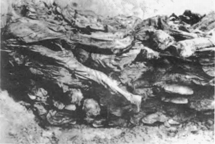 Раскрытие ям смерти и забвения в Козьих горах Катынский лес в апреле 1943 - фото 32