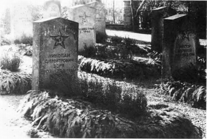 Могила НД Зори на Восточном кладбище рядового состава Советской Армии в - фото 40