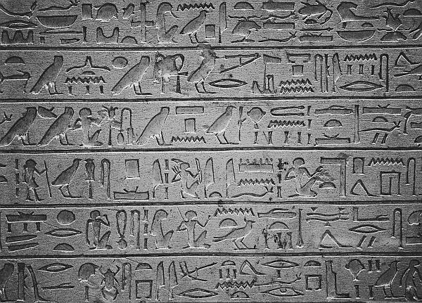Иероглифическое письмо Египта Некоторые характерные особенности животных - фото 13