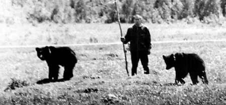 Весной позапрошлого года зоолог Валентин Пажетнов наблюдал за медвежьей - фото 17