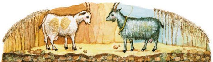 На узенькой горной тропинке встретились две козы Налево гора как стена - фото 34