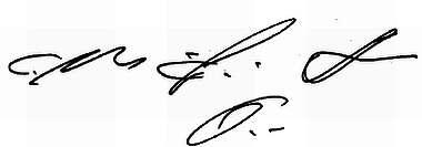 24 Наклон почерка как и наклон подписи имеют большое значение в графологии - фото 29