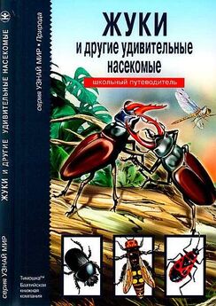 С. Афонькин - Жуки и другие удивительные насекомые