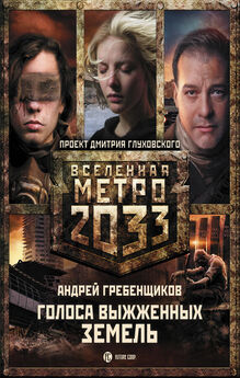 Дмитрий Северов - Метро 2039. Приключения сумасшедшего