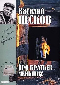 Василий Песков - Полное собрание сочинений. Том 10. Река и жизнь