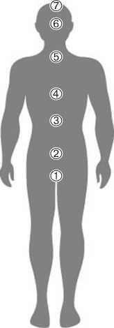 Структура сознания человека 1 Физическое тело 2 Эфирное тело 3 Астральное тело - фото 1