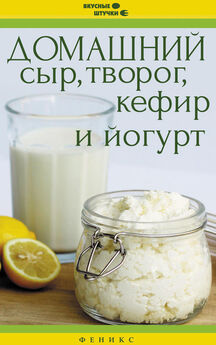 Анна Антонова - Домашний сыр, творог и йогурт делаем сами
