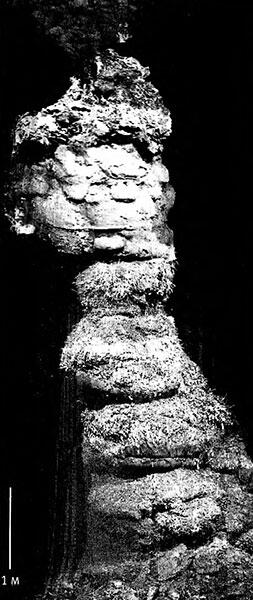 Рис 11 Питаемый глубоководным вулканом черный курильщик температура в - фото 1