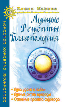 Анастасия Семенова - Большая книга Луны. Благоприятный прогноз на каждый день