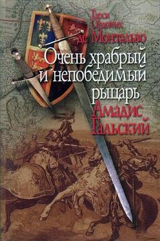 Гарси Монтальво - Очень храбрый и непобедимый рыцарь Амадис Гальский