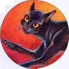 Щуплый черный кот бывший оруженосец Грозового племени Наставником Горелого - фото 161