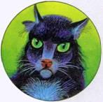 Жак огромный кот черный с белыми пятнами и рваным ухом Сюзанна - фото 167