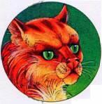Кот с огненнорыжей шерстью и сверкающими зелеными глазами Прирожденный - фото 29