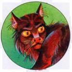 Кот с необычайно длинными усами пушистым хвостом и яркими янтарными глазами - фото 30