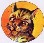 Небольшой крапчатобурый кот Верный преданный сильный и милосердный - фото 49