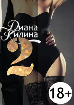 Диана Килина - 2. Вторая книга серии 1+1=?