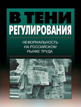 Светлана Барсукова - Эссе о неформальной экономике, или 16 оттенков серого